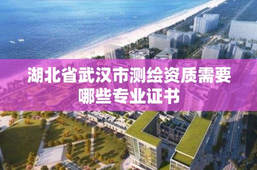 湖北省武汉市测绘资质需要哪些专业证书