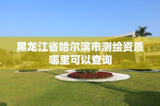 黑龙江省哈尔滨市测绘资质哪里可以查询