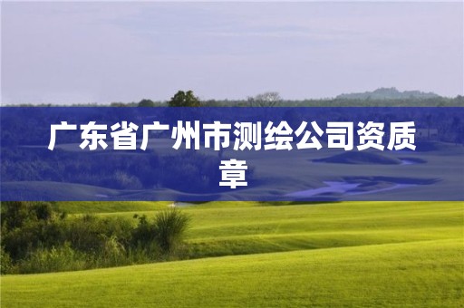 广东省广州市测绘公司资质章