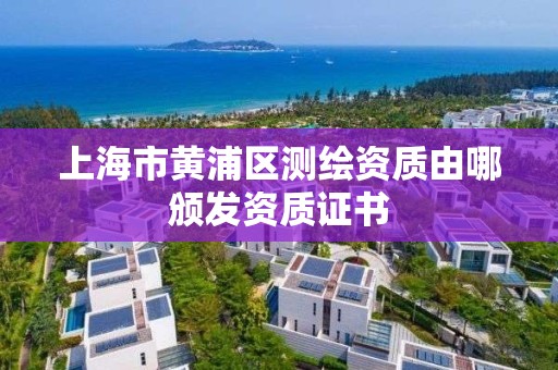 上海市黄浦区测绘资质由哪颁发资质证书