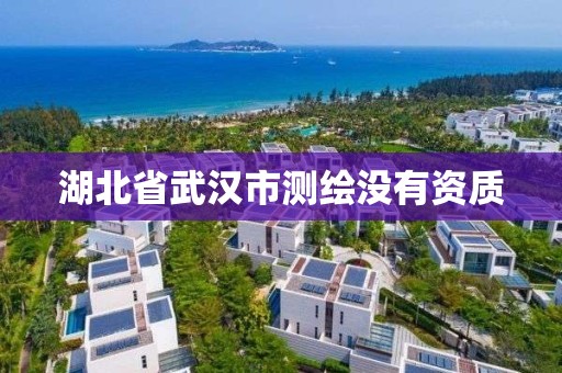 湖北省武汉市测绘没有资质