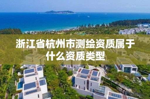 浙江省杭州市测绘资质属于什么资质类型