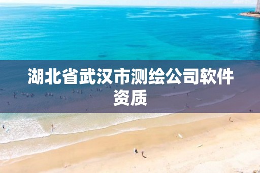 湖北省武汉市测绘公司软件资质