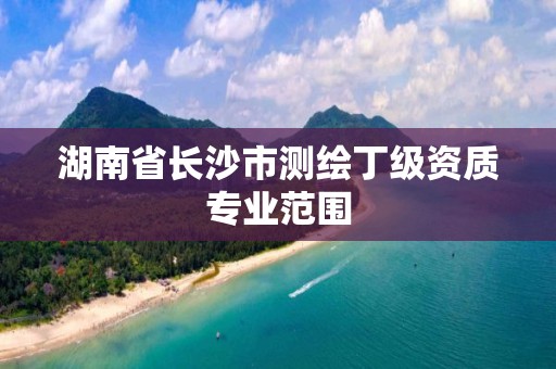 湖南省长沙市测绘丁级资质专业范围