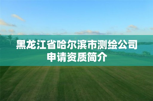 黑龙江省哈尔滨市测绘公司申请资质简介