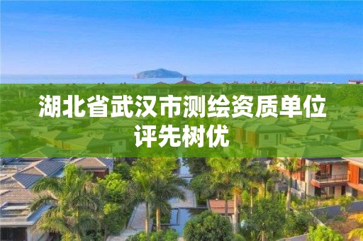 湖北省武汉市测绘资质单位评先树优