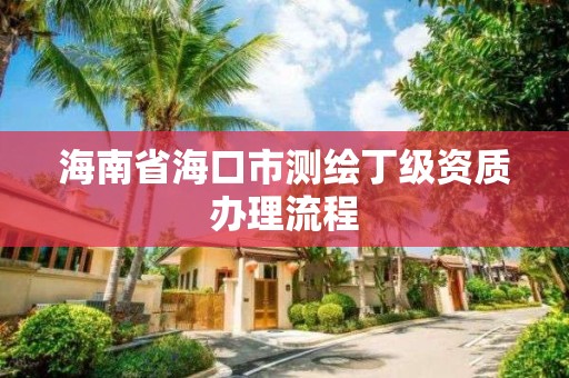 海南省海口市测绘丁级资质办理流程