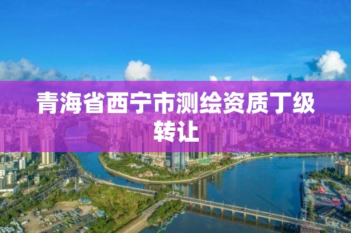 青海省西宁市测绘资质丁级转让