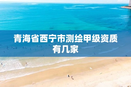 青海省西宁市测绘甲级资质有几家