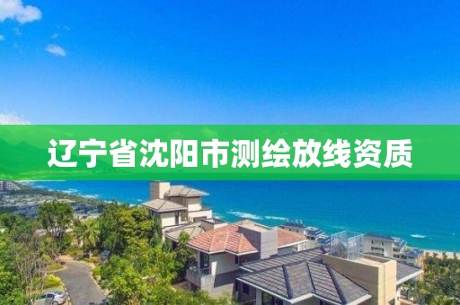 辽宁省沈阳市测绘放线资质