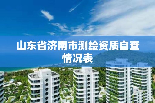 山东省济南市测绘资质自查情况表