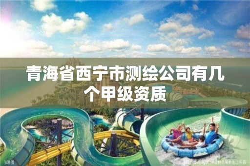 青海省西宁市测绘公司有几个甲级资质