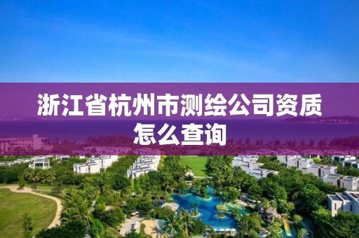 浙江省杭州市测绘公司资质怎么查询