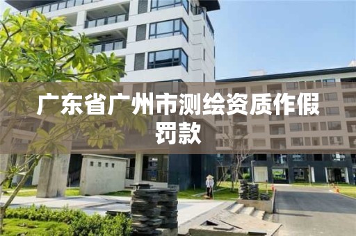 广东省广州市测绘资质作假罚款