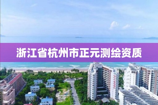 浙江省杭州市正元测绘资质