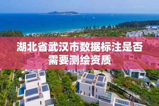 湖北省武汉市数据标注是否需要测绘资质