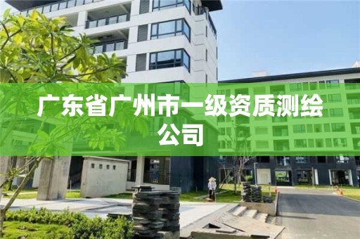 广东省广州市一级资质测绘公司