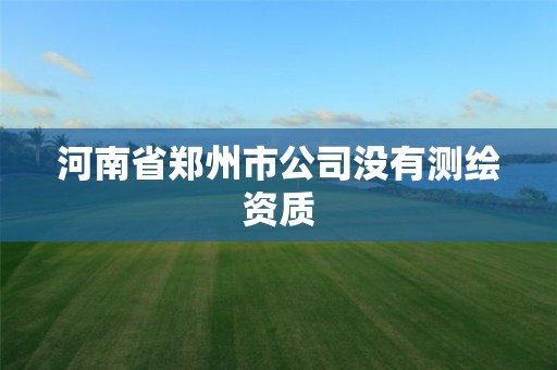 河南省郑州市公司没有测绘资质