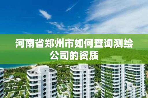 河南省郑州市如何查询测绘公司的资质