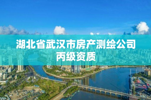 湖北省武汉市房产测绘公司丙级资质