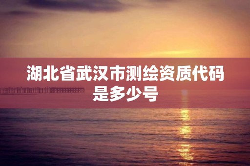 湖北省武汉市测绘资质代码是多少号