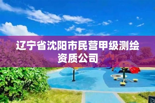 辽宁省沈阳市民营甲级测绘资质公司