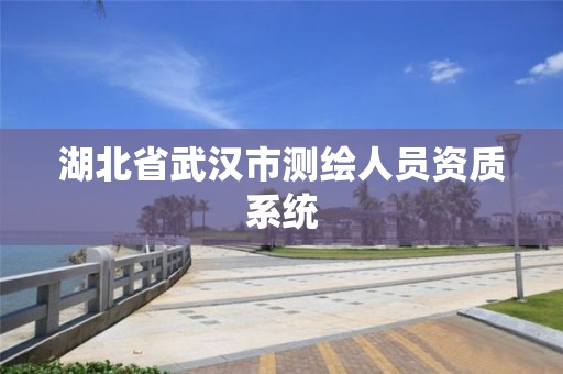 湖北省武汉市测绘人员资质系统