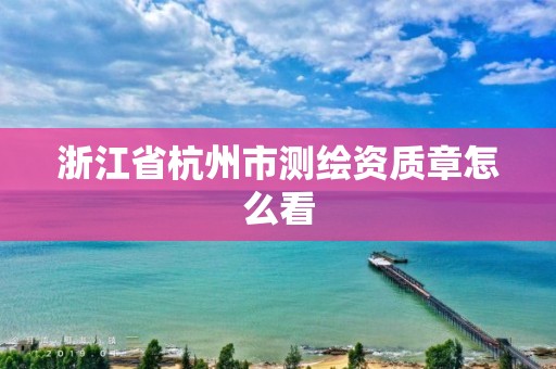 浙江省杭州市测绘资质章怎么看