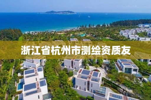 浙江省杭州市测绘资质友