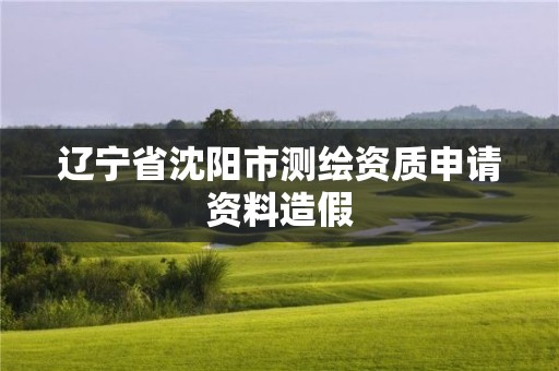 辽宁省沈阳市测绘资质申请资料造假