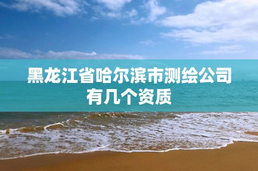 黑龙江省哈尔滨市测绘公司有几个资质