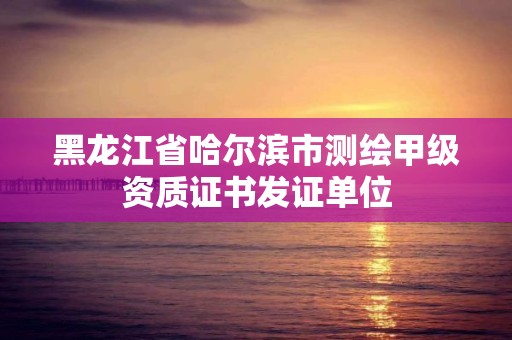 黑龙江省哈尔滨市测绘甲级资质证书发证单位