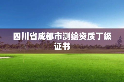 四川省成都市测绘资质丁级证书