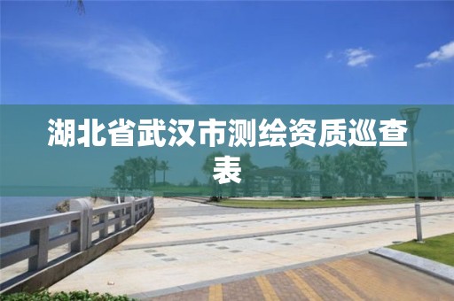 湖北省武汉市测绘资质巡查表