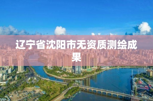 辽宁省沈阳市无资质测绘成果