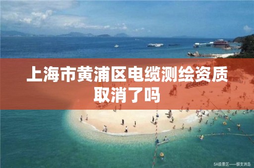 上海市黄浦区电缆测绘资质取消了吗