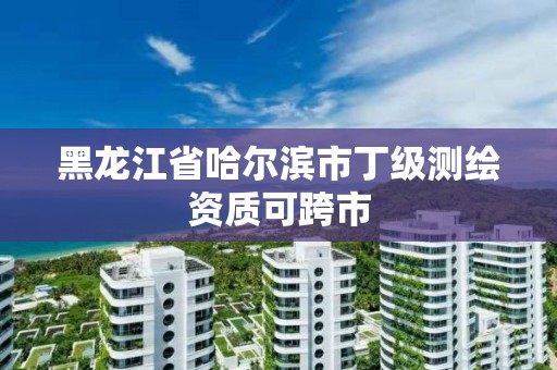 黑龙江省哈尔滨市丁级测绘资质可跨市