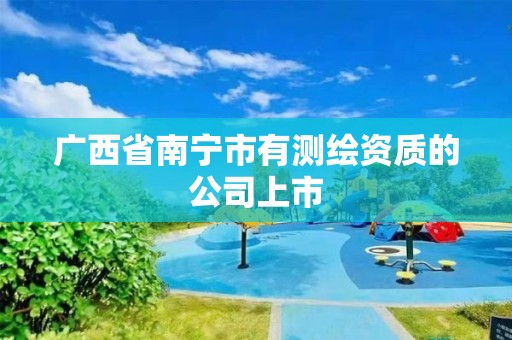 广西省南宁市有测绘资质的公司上市