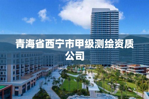 青海省西宁市甲级测绘资质公司