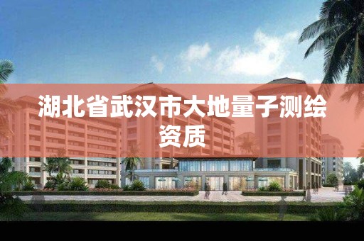 湖北省武汉市大地量子测绘资质