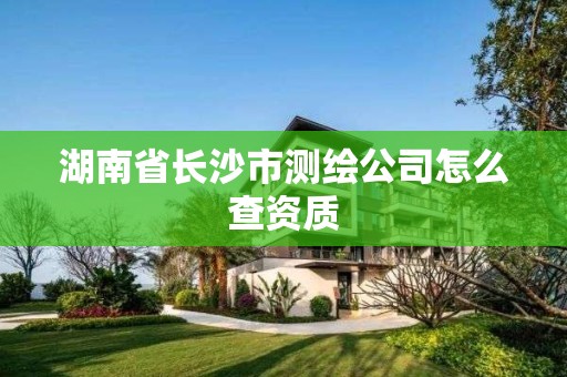 湖南省长沙市测绘公司怎么查资质