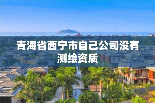 青海省西宁市自己公司没有测绘资质