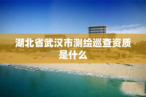 湖北省武汉市测绘巡查资质是什么