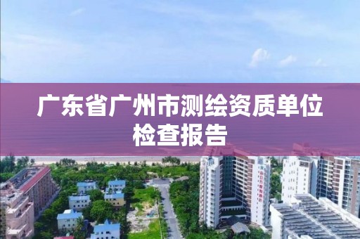 广东省广州市测绘资质单位检查报告