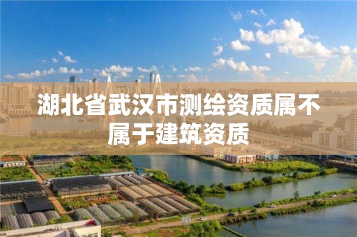 湖北省武汉市测绘资质属不属于建筑资质