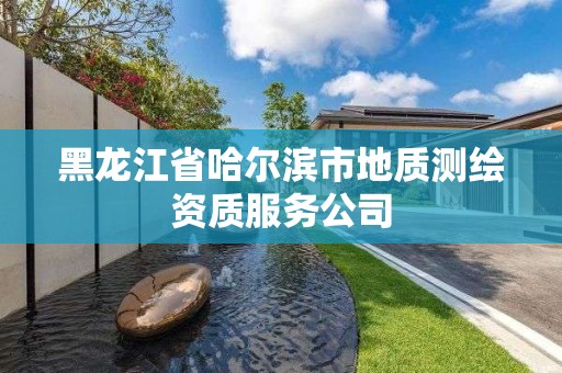 黑龙江省哈尔滨市地质测绘资质服务公司