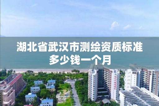 湖北省武汉市测绘资质标准多少钱一个月