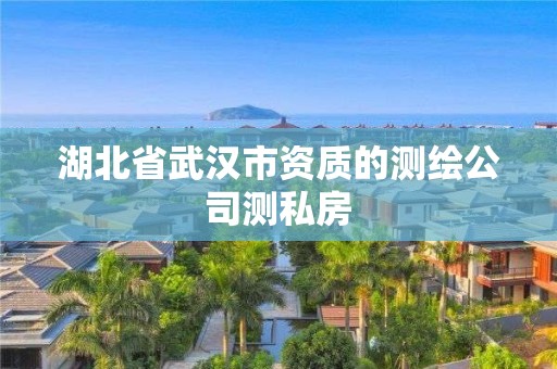 湖北省武汉市资质的测绘公司测私房