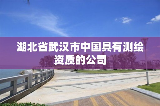 湖北省武汉市中国具有测绘资质的公司