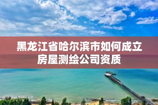 黑龙江省哈尔滨市如何成立房屋测绘公司资质